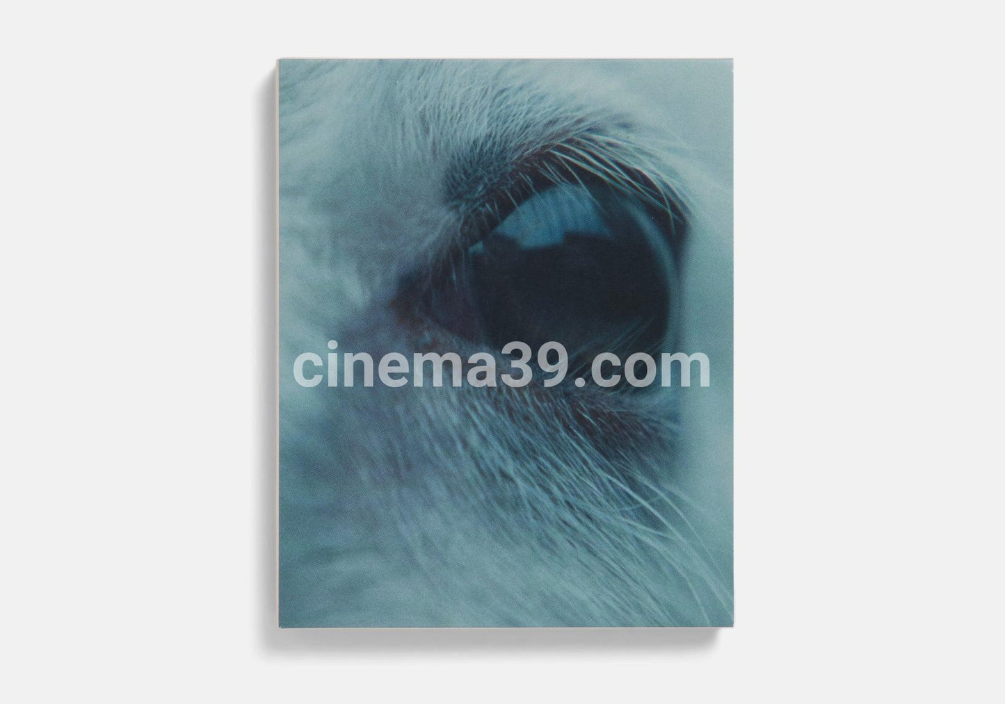 Lamb A24 Película 4K